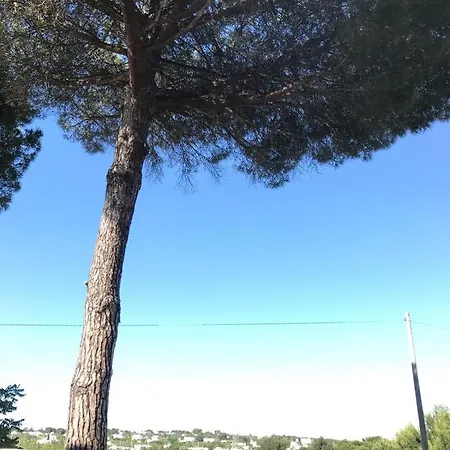 Trullo Dal Commendatore * Ostuni